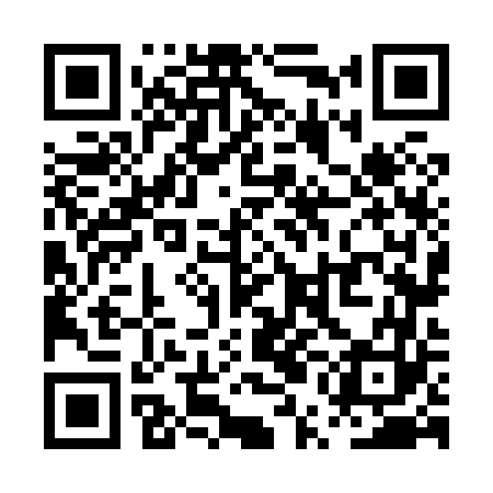 QR code for PUN863