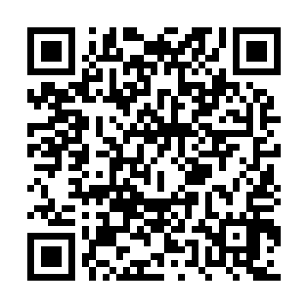 QR code for PUN917