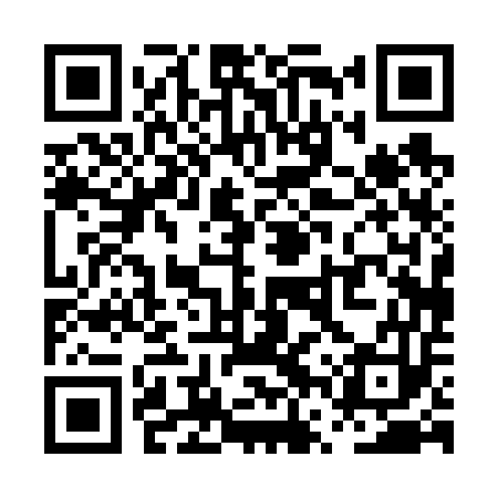 QR code for PVP653
