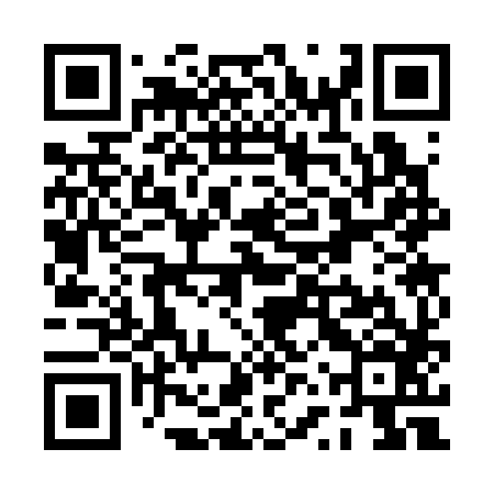 QR code for PVS386