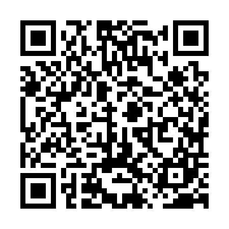 QR code for PVZ307