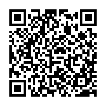 QR code for PYJ384