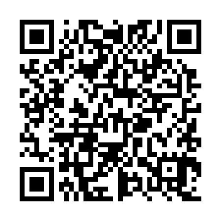 QR code for PYT385