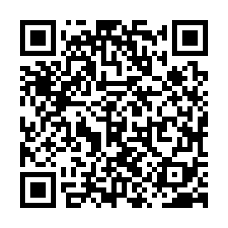 QR code for PYZ379