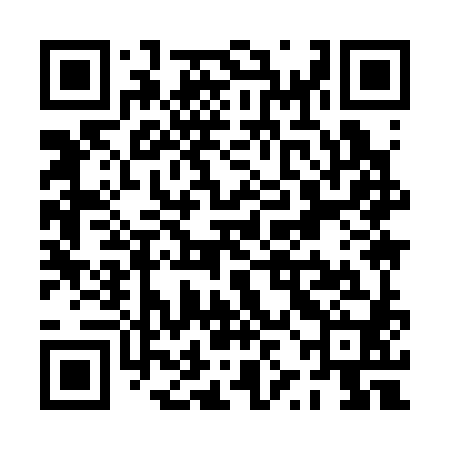 QR code for PZI380