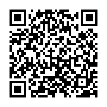 QR code for PZL013