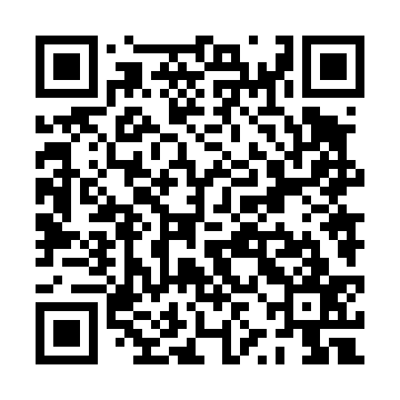 QR code for PZN437