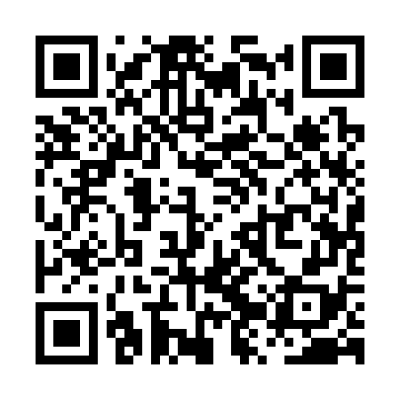 QR code for PZQ378