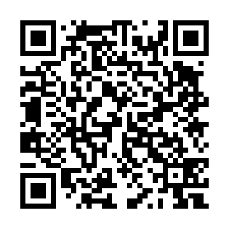 QR code for PZQ439