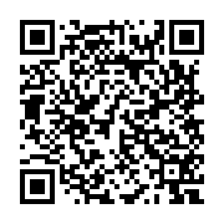 QR code for PZR954