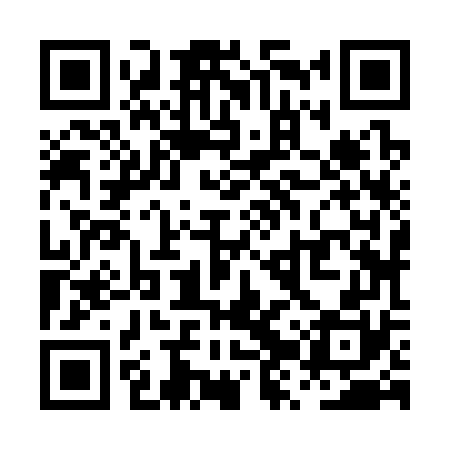 QR code for PZZ370