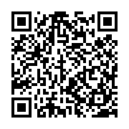 QR code for PZZ424