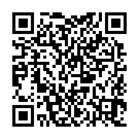 QR code for QAN383