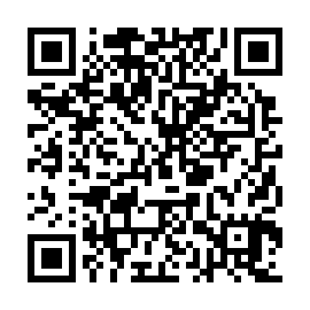 QR code for QAR305