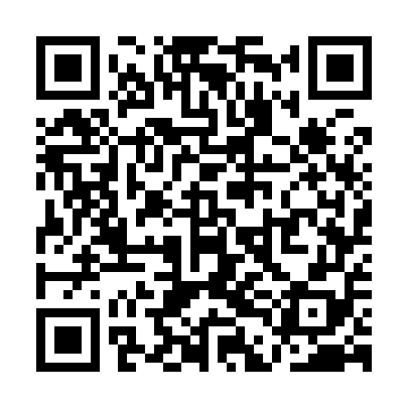 QR code for QDG958