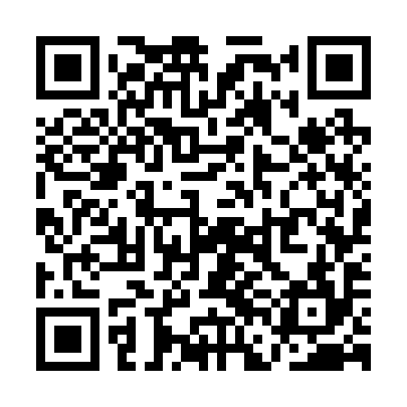 QR code for QFG294