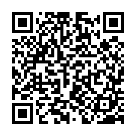 QR code for QIN541