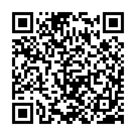 QR code for QIR113