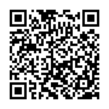 QR code for QIR594