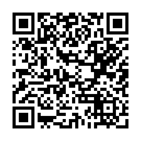 QR code for QJM919