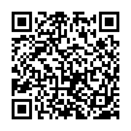 QR code for QLI313