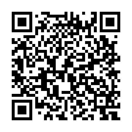 QR code for QLK196