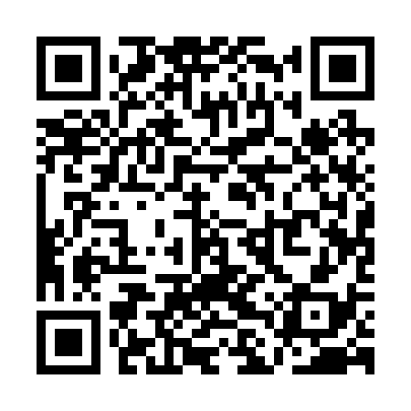 QR code for QLQ238
