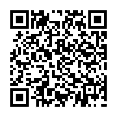 QR code for QML381