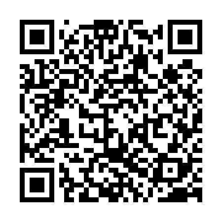 QR code for QPG528