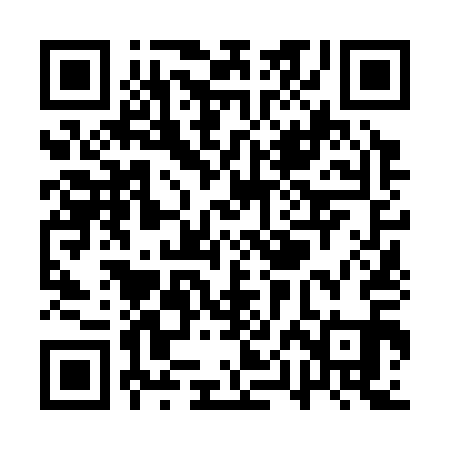 QR code for QPN311
