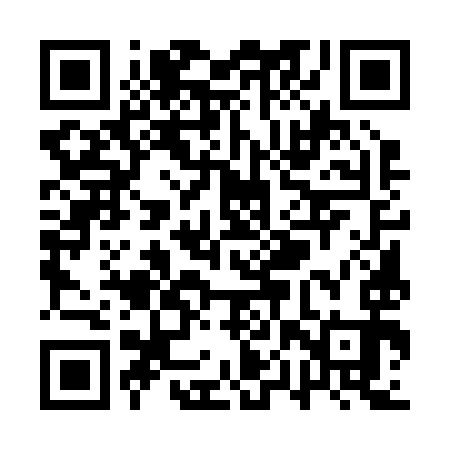QR code for QPU293