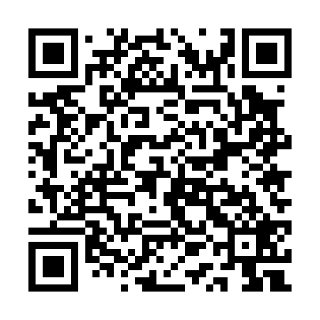QR code for QQE029
