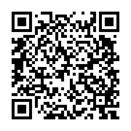 QR code for QQR489