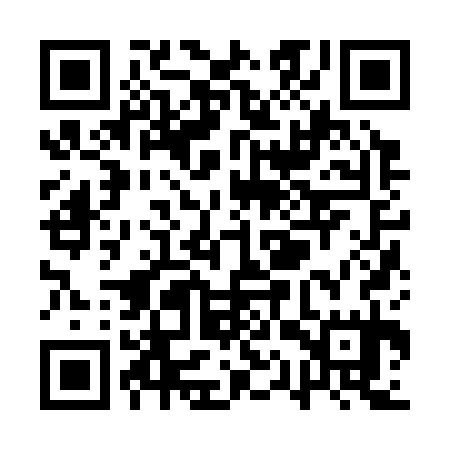 QR code for QQZ335