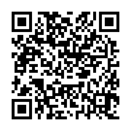 QR code for QRV384