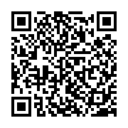 QR code for QTG511