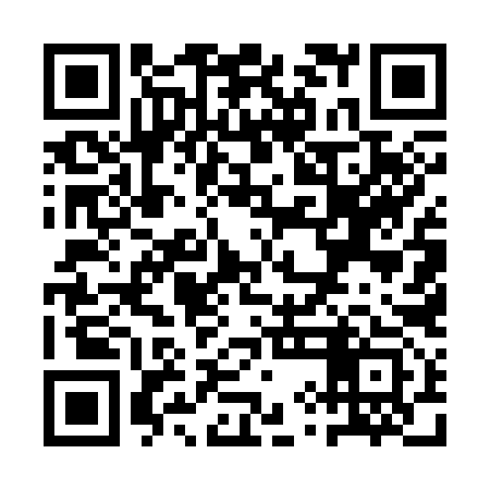 QR code for QYE393