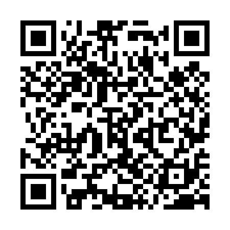QR code for QYN411