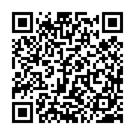 QR code for QYX460