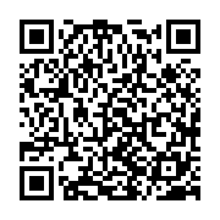 QR code for QZH875