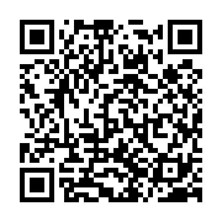 QR code for QZI531