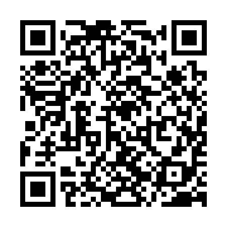 QR code for QZQ398