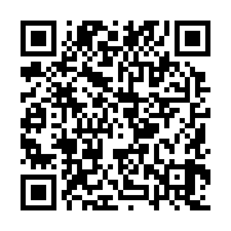 QR code for QZY389
