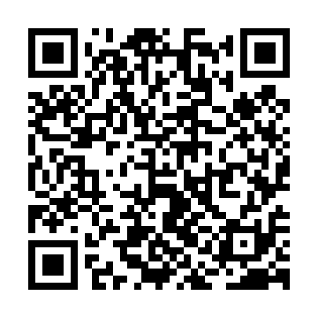 QR code for RAO411
