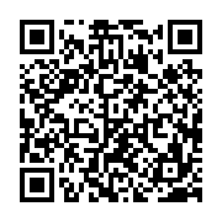 QR code for RAP236