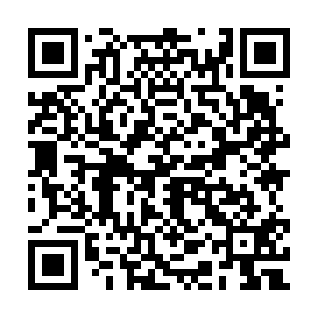 QR code for RAY611