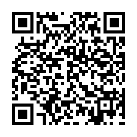 QR code for REY393