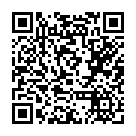 QR code for RGM317