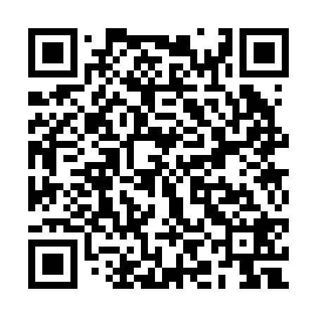 QR code for RIC228