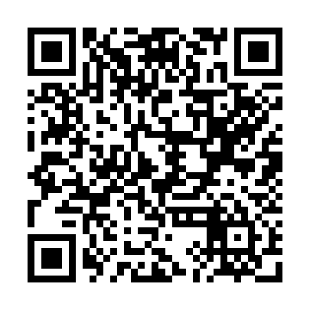 QR code for RIC335